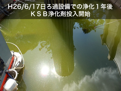 H26/6/17日 One year after purification with filtration equipment - KSB purification agent begins to be added