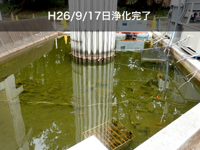 H26/9/17日 Purification complete
