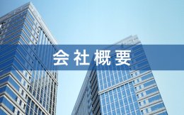 Company Profile