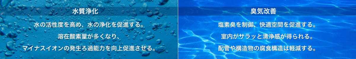 Water purification and odor reduction